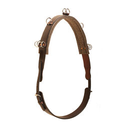 Tory Leather Bridle Leather Surcingle