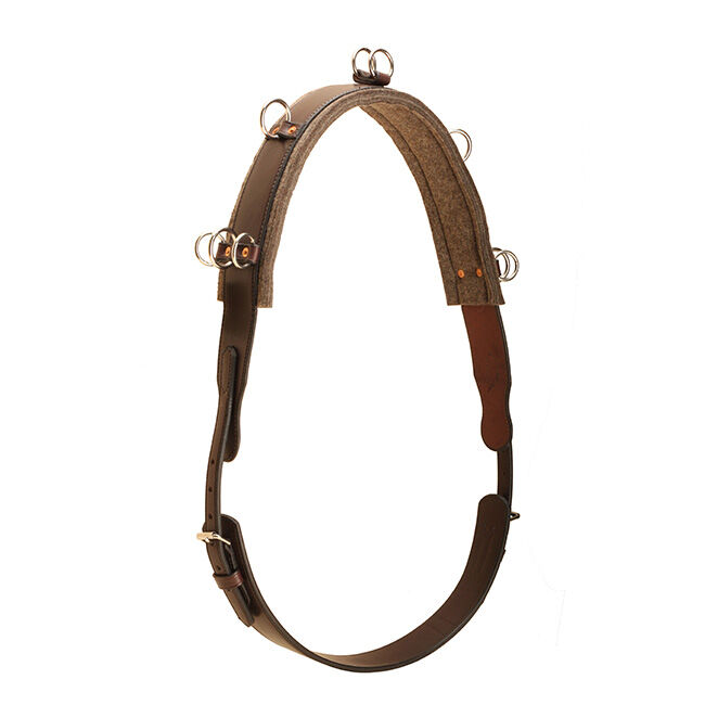 Tory Leather Bridle Leather Surcingle image number null