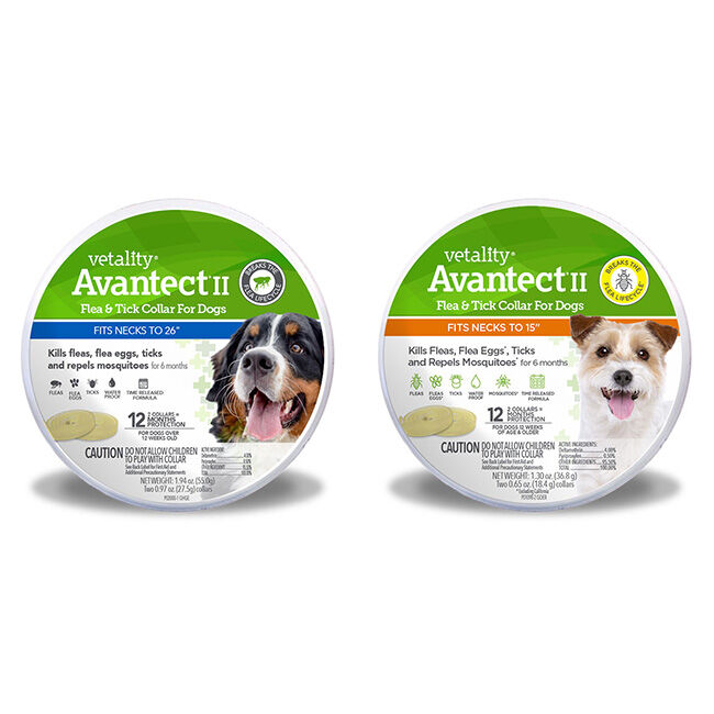 Vetality Avantect II Flea & Tick Collar for Dogs image number null
