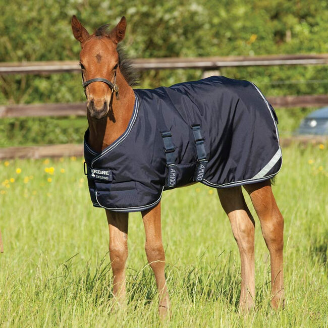 Horseware Amigo Ripstop Foal Turnout - 200g Medium - Navy/Silver image number null