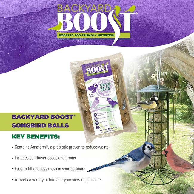 Backyard Boost Songbird Balls - 6-Pack image number null