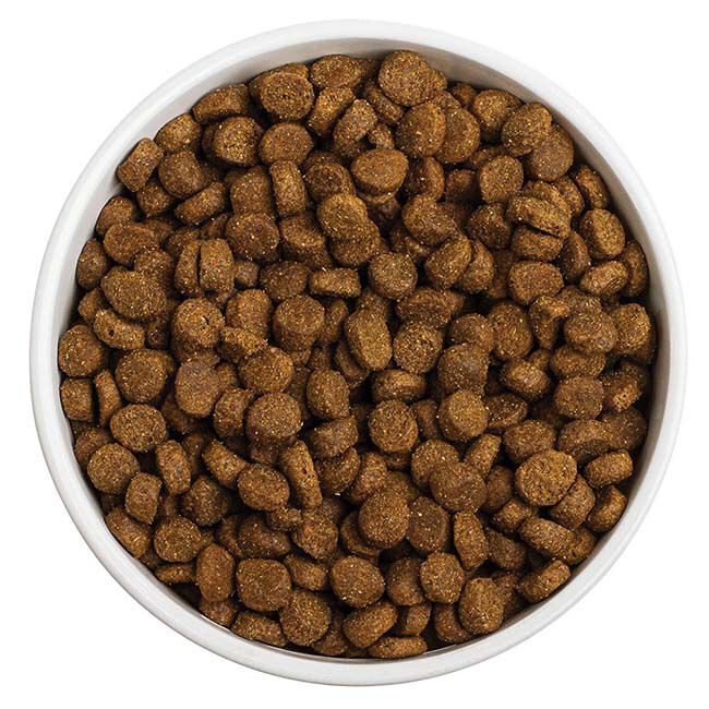 RedBarn Grain-Free Dog Food - Sky Recipe with Turkey, Chicken & Duck image number null
