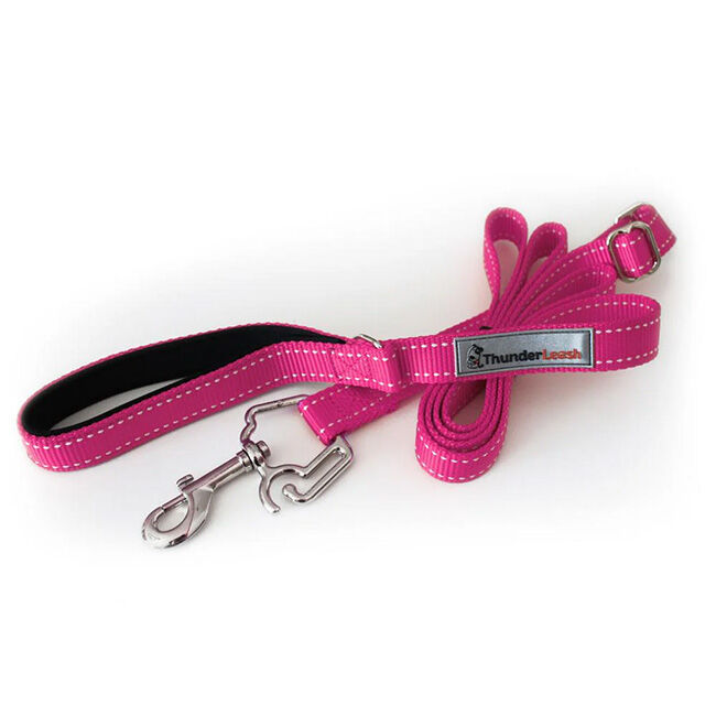 Thunderleash harness store