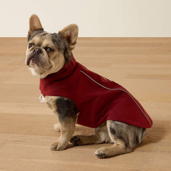 Ariat Team Softshell Dog Jacket - Syrah Leopard image number null
