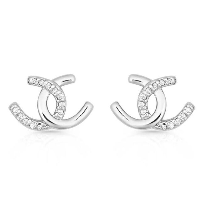 Horseshoe Happiness Post Earrings image number null