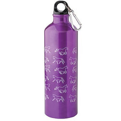 Kelley and Company Aluminum Water Bottle