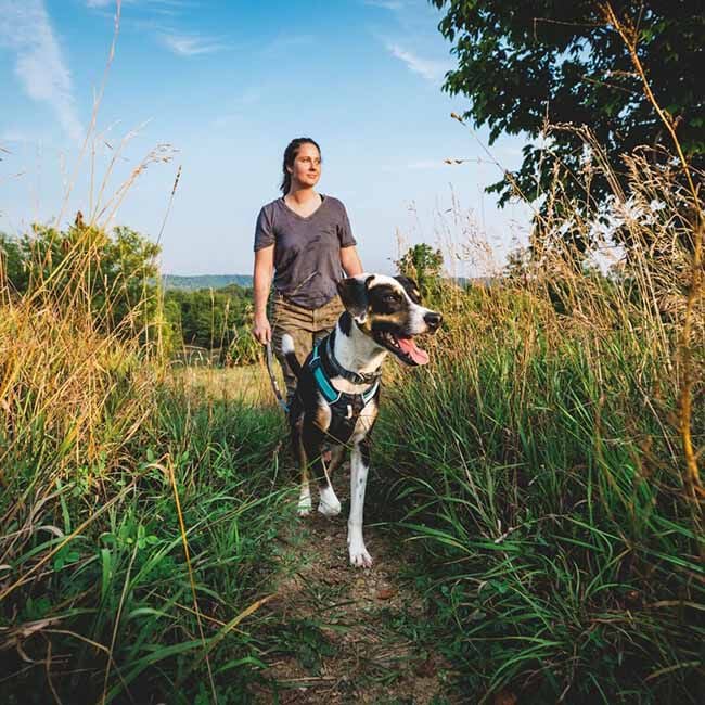 Ruffwear Hi & Light Harness - Basalt Gray image number null