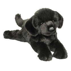 Douglas Jake the DLux Black Lab