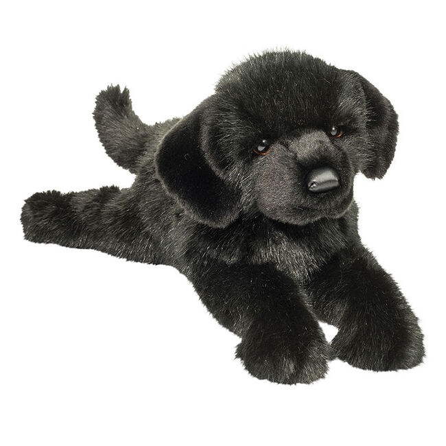 Douglas Jake DLux Black Lab image number null