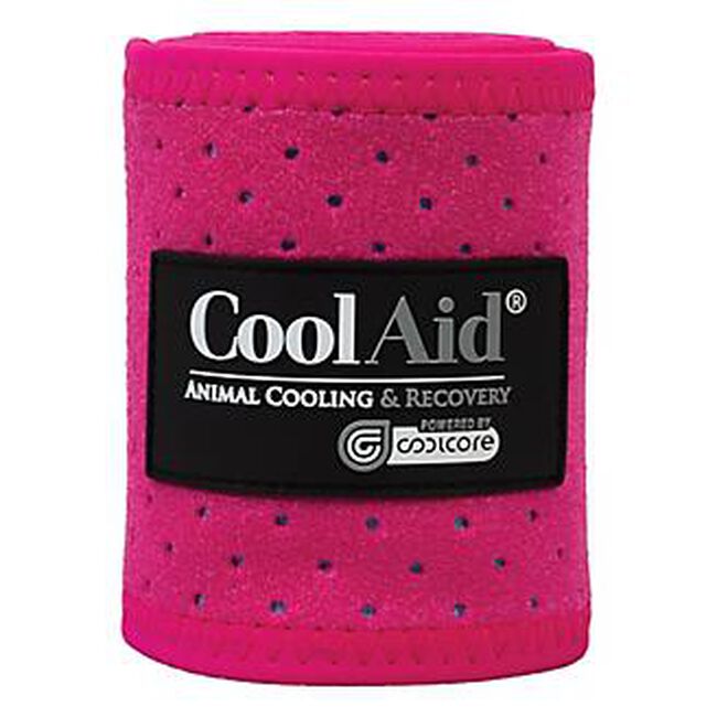 Weaver CoolAid Equine Icing and Cooling Polo Wraps image number null