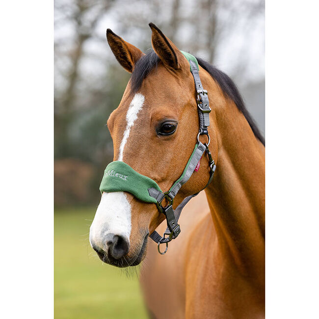 LeMieux Vogue Halter & Lead Rope - Hunter Green image number null