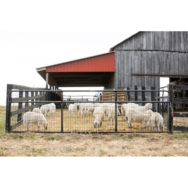 Tarter Watchman Wire Mesh Gate - Black image number null