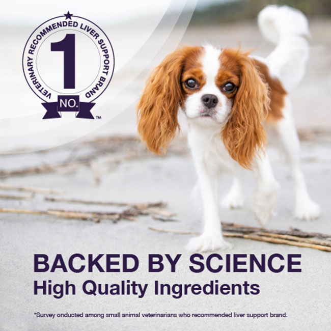 Nutramax Laboratories Denamarin Liver Supplement for Dogs - Chewable Tablets - 30-Count image number null