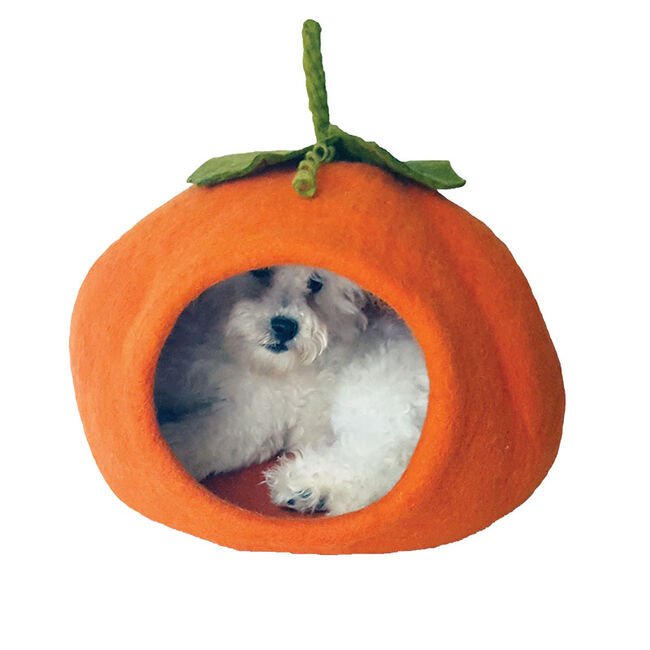 Dharma Dog Kharma Cat Wool Pumpkin Cave image number null