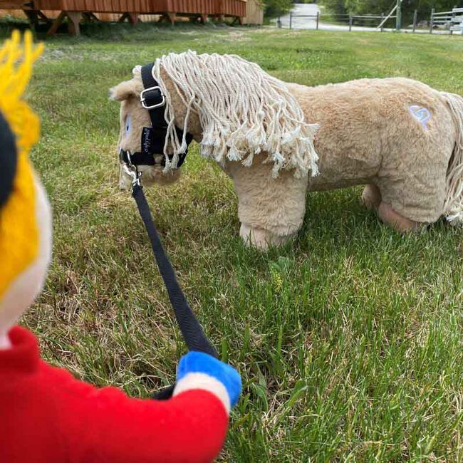 Crafty Ponies Toy Lunge Cavesson Set image number null