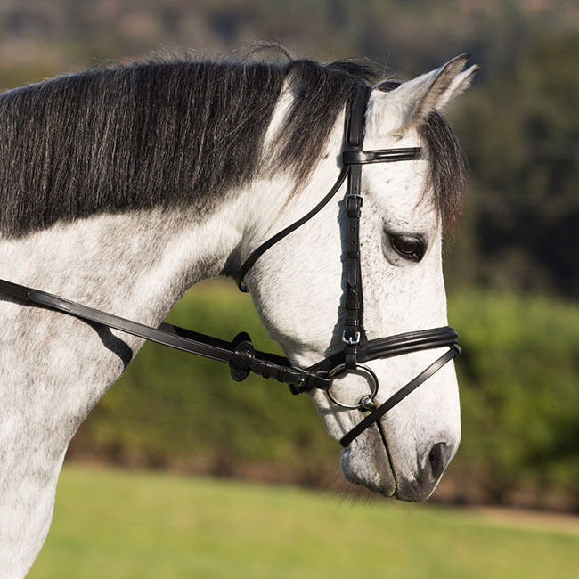 Kavalkade Quentin Dressage Bridle image number null