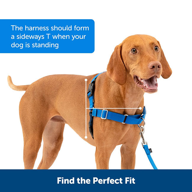 PetSafe Easy Walk Harness image number null
