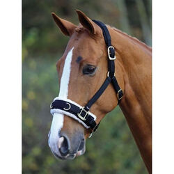 Shires Fleece-Lined Lunge Cavesson with Padded Poll