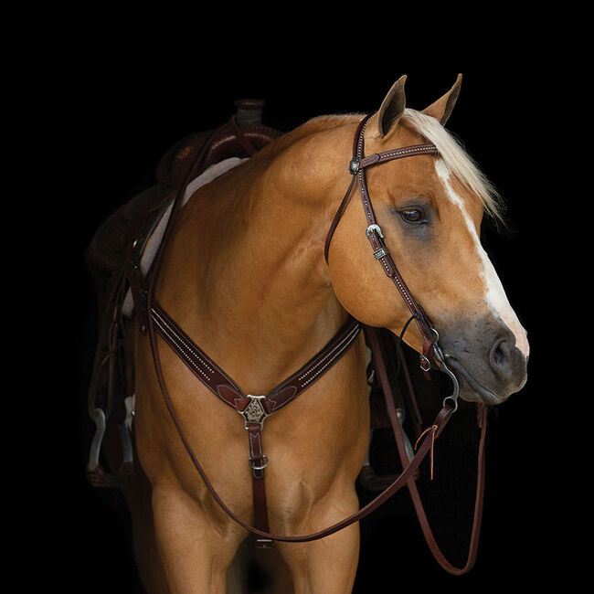 Weaver Equine Austin Contoured Leather Breast Collar - Brown image number null
