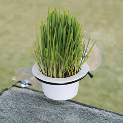 K&H Pet EZ Mount Window Cat Grass Grow Station