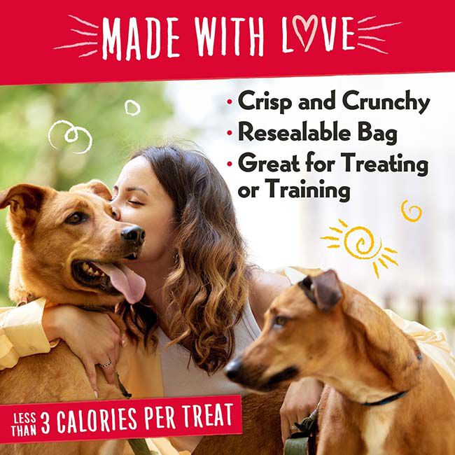 Charlee Bear Grain-Free Crunch Dog Treats - Chicken, Pumpkin & Apple Flavor - 8 oz image number null
