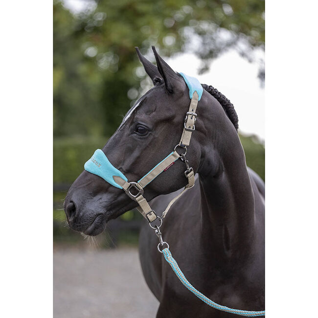 LeMieux Vogue Halter & Lead Rope Azure The Cheshire Horse