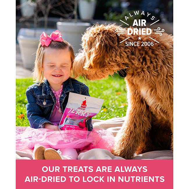 Plato Jerky Dog Treats - Duck with Cherry - 16 oz image number null