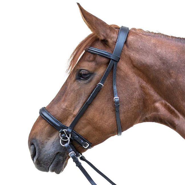 Waldhausen Bitless Bridle image number null
