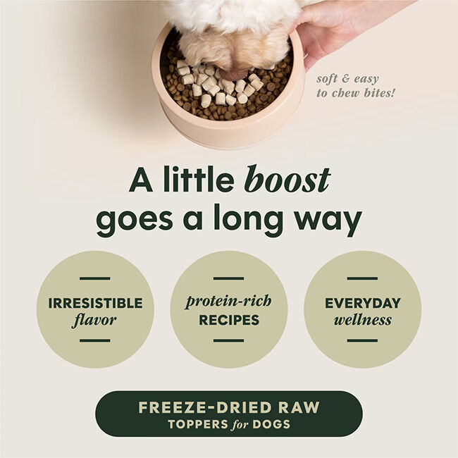 Instinct Raw Boost Mixers for Dogs - Beef Recipe image number null