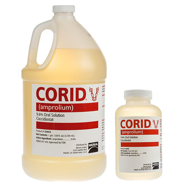 Merial Corid Solution - Treats Coccidiosis in Calves 16 oz image number null