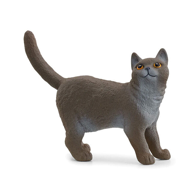 Schleich British Shorthair Cat image number null