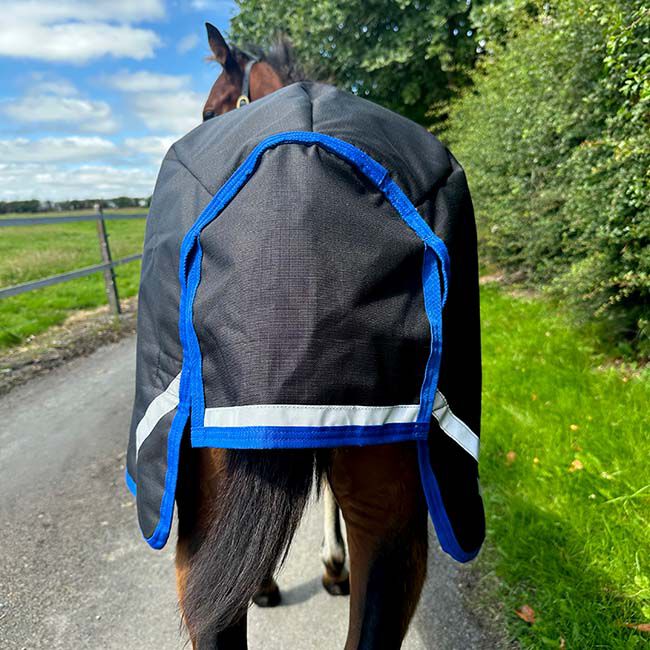 Horseware Amigo Ripstop 900D Foal Turnout (50g Medium) - Black with Classic Blue Trim image number null