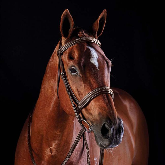 Collegiate Comfort Crown Fancy Stitched Raised Cavesson Bridle image number null