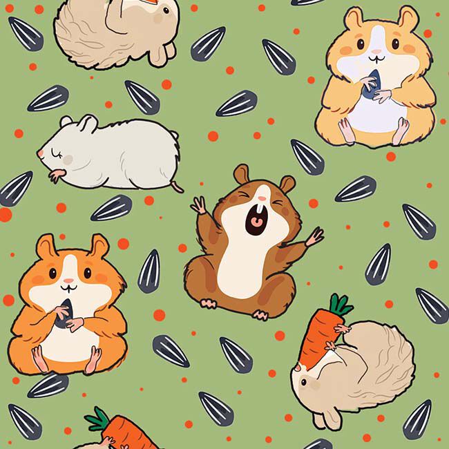 Dreamers & Schemers Kids' Boot Socks - Pair and a Spare - Hamster image number null