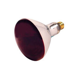 Satco 250 Watt R40 Red Heat Lamp Incandescent Bulb - 1-Pack