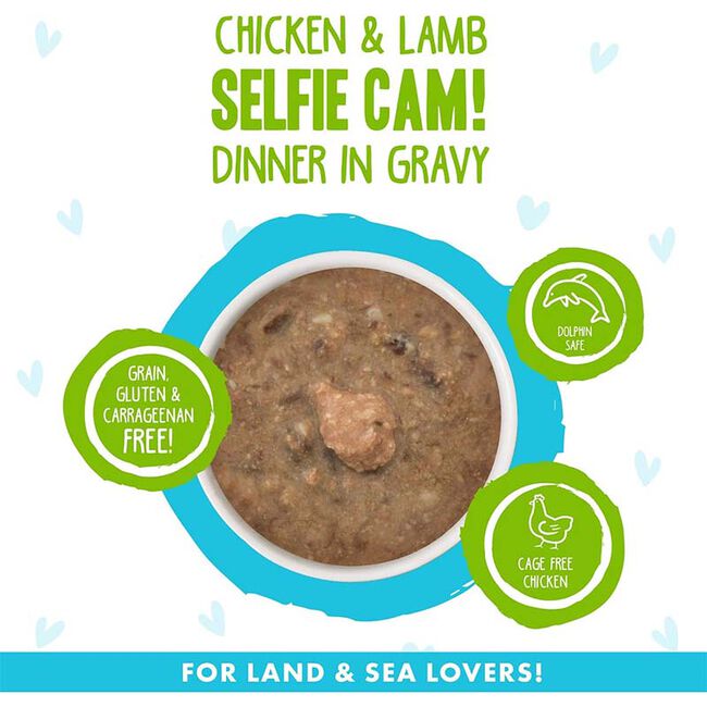 Weruva BFF OMG Cat Food - Selfie Cam! Chicken & Lamb Dinner in Gravy - 5.5 oz image number null