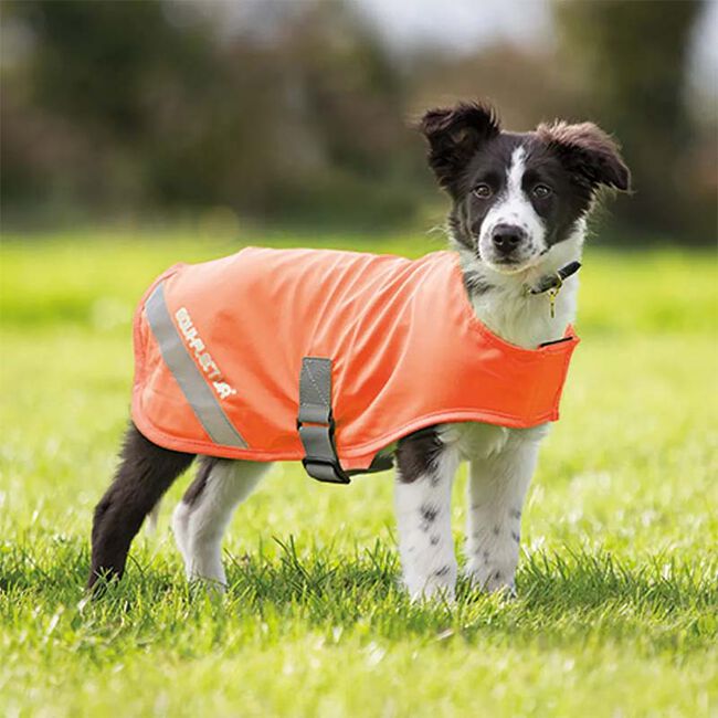 Shires Equi-Flector Dog Safety Vest  image number null