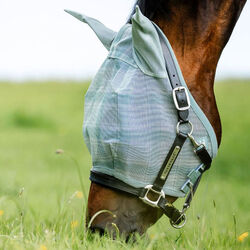 Horseware Newmarket Fly Mask - Witney Dynasty