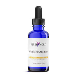 Pet Essences Working Animals