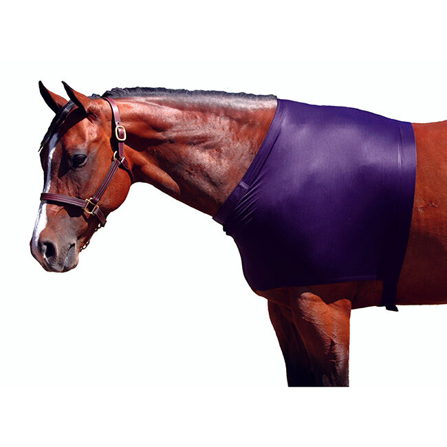 Sleazy Sleepwear Shoulder Guard - Purple image number null