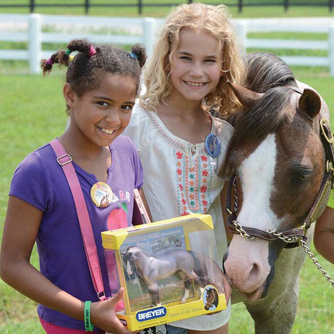 Breyer Brookside Pink Magnum image number null