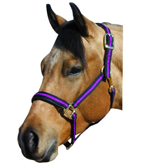 Intrepid No Rub Padded Striped Halter Yearling-Pony image number null
