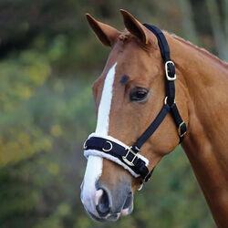 Shires Fleece-Lined Lunge Cavesson with Padded Poll