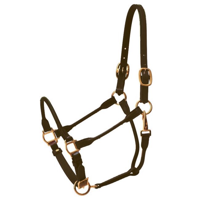 Tory Leather Arabian Rolled Leather Halter image number null