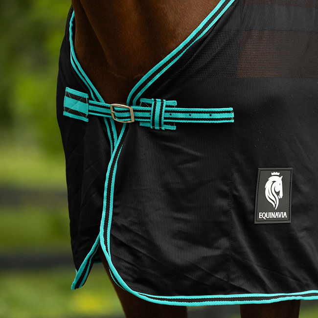 Equinavia Sefyr Scrim Sheet - Black/Turquoise image number null