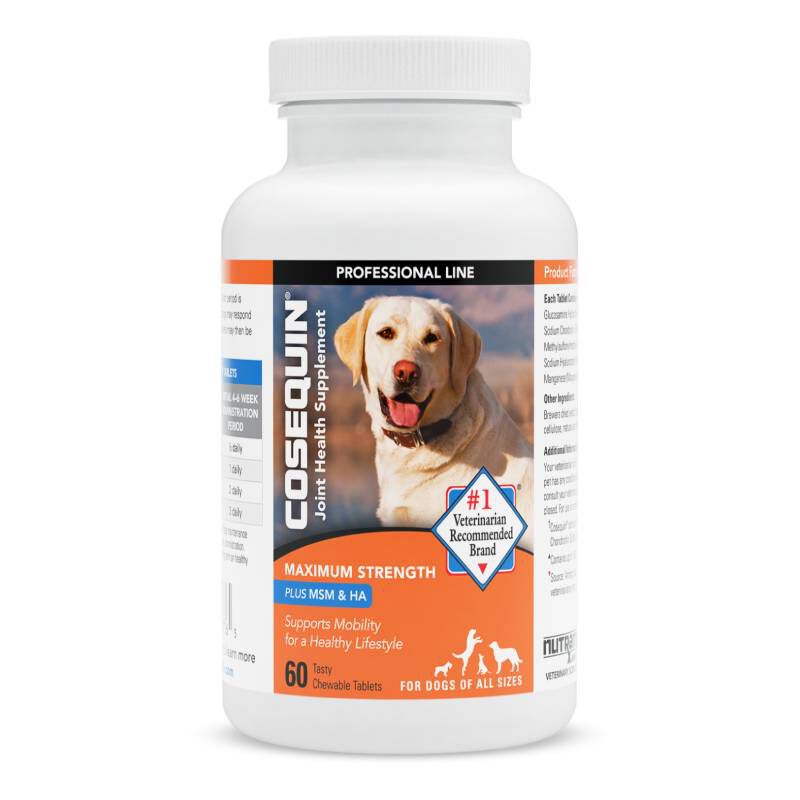 Cosequin ds plus msm joint health supplement on sale
