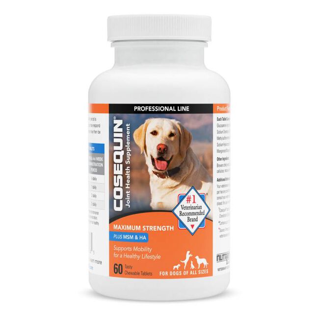 Nutramax Cosequin for Dogs Joint Health Supplement, Contains Glucosamine for Dogs, Plus Chondroitin and MSM, Supports Healthy Joints, For All Breeds and Sizes, Chewable Tablets image number null