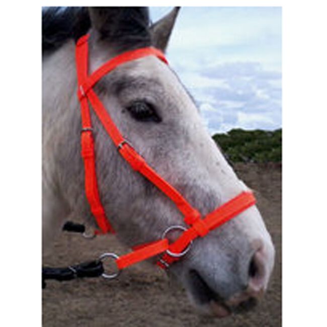 Bitless Beta Headstall Safety Orange image number null