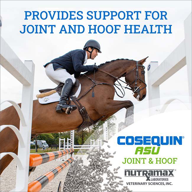 Nutramax Laboratories Cosequin ASU Joint & Hoof Pellets Joint Health Supplement for Horses - Pellets with Glucosamine, Chondroitin, MSM & Biotin image number null