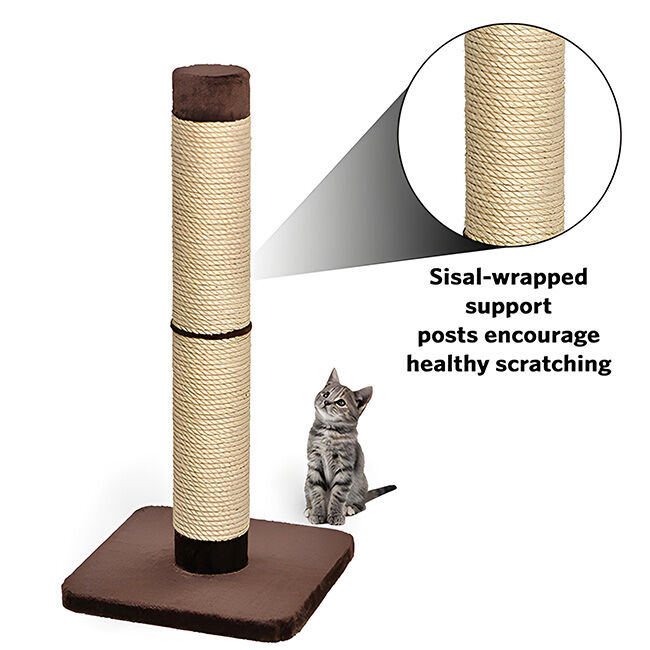 MidWest Homes for Pets Nuvo Forte Scratching Post image number null